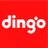 @dingo_official