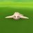 go08852263's profile image