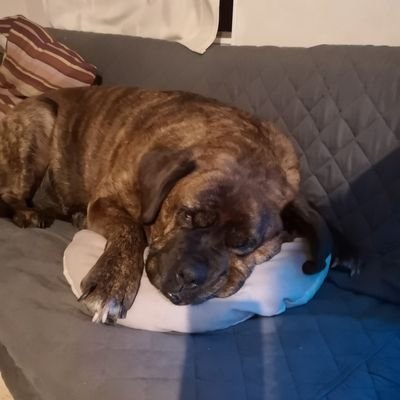 butchy19's profile picture. 