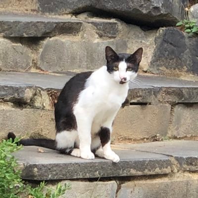 moneyzuseyo's profile picture. 이리저리 훔쳐 봅니다 얌전히 보기만 할게요