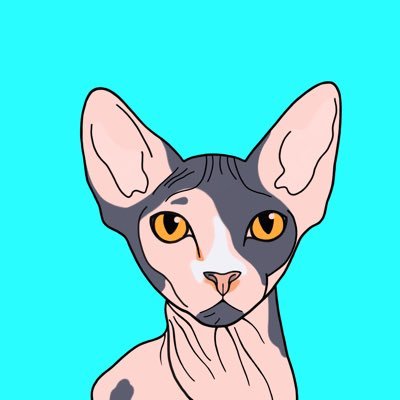 xPikArtx's profile picture. The cult of the crazy cute cat. Two collections of NFT: 99 NFT drawings Pikа and 66 PikArts.