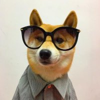 yuyu清纯猛壹 (@wzry000000) 's Twitter Profile