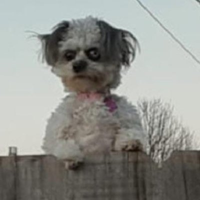 HussmanBanjan's profile picture. Coffee in the shower is a game changer