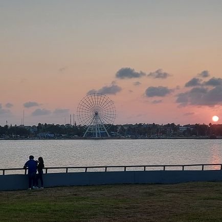 duwilicius's profile picture. 