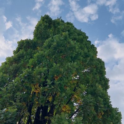 RGmarteen's profile picture. 