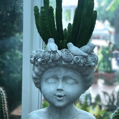 pong0305's profile picture. 