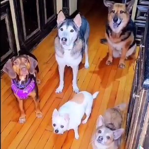 Futurist. Architect. @pubhealthaction. Clean air is a human right. (AI+CV+XR+Robots+Fintech). 3 ppl, 6 furry babies, 1 amazing wife. Dad jokes are on the house.