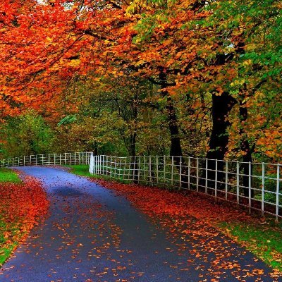 lifecurehospitl's profile picture. 