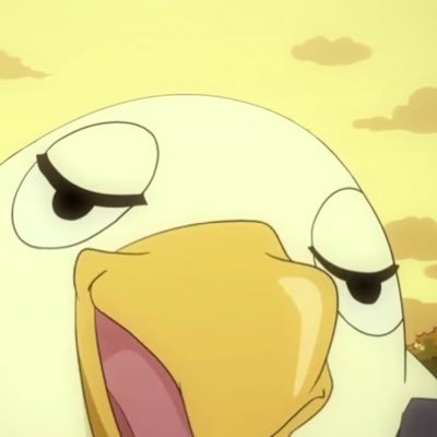 jimmyxyc's profile picture. AMERICA A-O doge