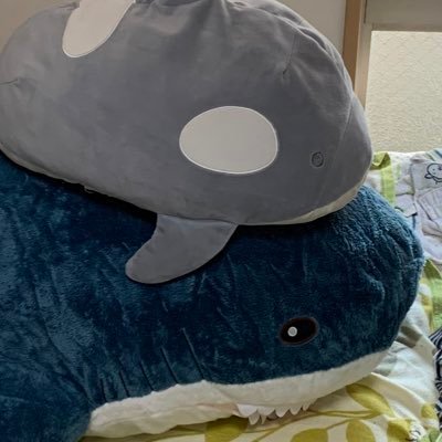 ist_oka's profile picture.