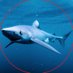 Wonders Of The Celtic Deep (@celtic_deep) Twitter profile photo Wonders Of The Celtic Deep (@celtic_deep) Twitter profile photo