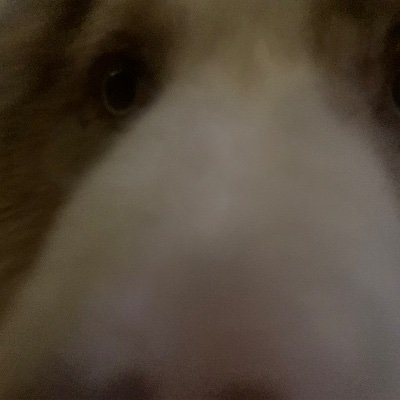 NiiaVimme's profile picture. 