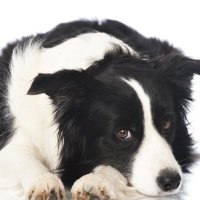 Gerry Bridgett (@gerrybridgett) 's Twitter Profile Photo