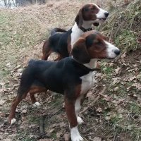 Orhan Deniz (@orhande78254599) Twitter profile photo