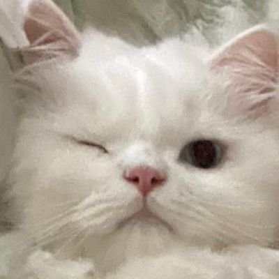 deer0225's profile picture. fun 轻松