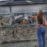 Sofia (@farran_lina) Twitter profile photo