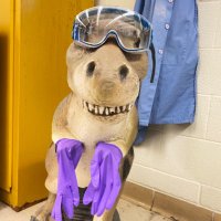 The Thomas Group 🦖 (@athomaslab) 's Twitter Profile Photo The Thomas Group 🦖 (@athomaslab) 's Twitter Profile Photo