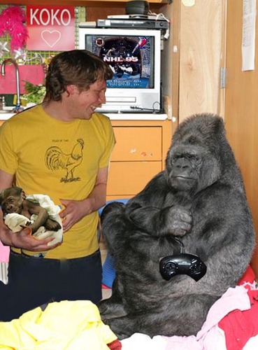 S0VELLTweets's profile picture. A treasure trove of scandalous tweets if I ever become a public figure