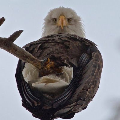 Ab9ebIn's profile picture. 