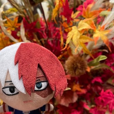 m429note's profile picture. なににおちるかわからない。