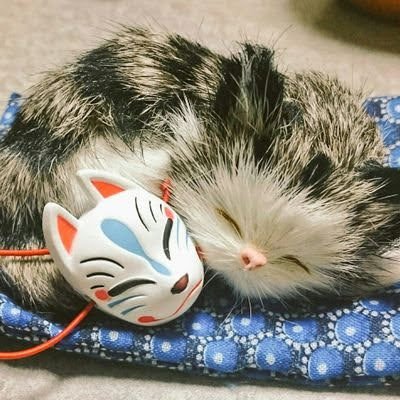 wakachi_music's profile picture. 熊本県出身/藝大声楽科卒業/Ms

日常だったり趣味だったりと基本的にしょうもない事しか呟いていなかったり。最近はアクセサリー作ったり。