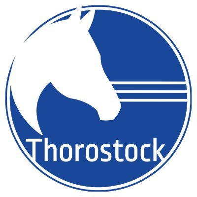 Founded by Nick Sallusto, Thorostock is a world-class equine training facility specializing in breaking, training and rehabilitation of thoroughbreds.