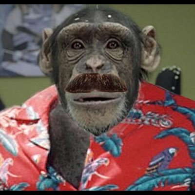 FSakes1000's profile picture. Bored mayonnaise enthusiast. May have visited this slum before as your boy MetricButtload.