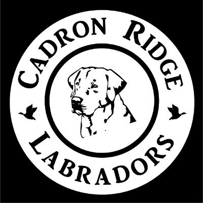 cadronridgelabs Profile Picture