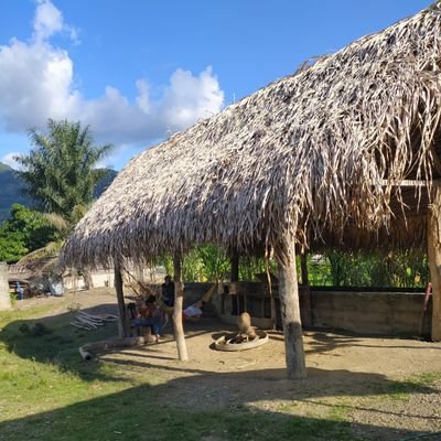 jcabrerat's profile picture. 