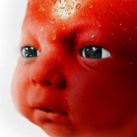 marc goone 🍅 (@marcgoone) 's Twitter Profile Photo marc goone 🍅 (@marcgoone) 's Twitter Profile Photo