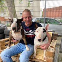 Murphy (@stefansoberg) 's Twitter Profile