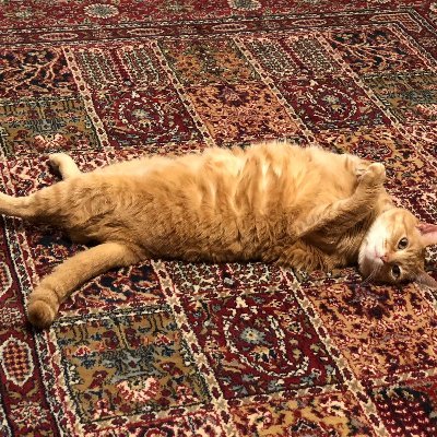 camaravadi's profile picture. Interested in business, technology, research, finance, the future and more...