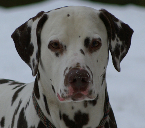 blackandbrownsp's profile picture. 