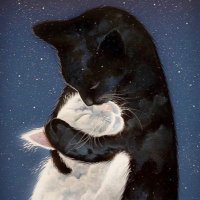 X~x (@jeeezyobama) Twitter profile photo