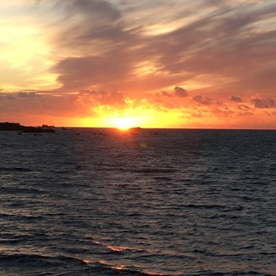 mlen72's profile picture. 