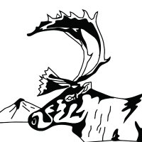 Vuntut Gwitchin Government (@vuntutgwitchin) 's Twitter Profile