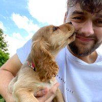 Calvin (@calv_sherwood) 's Twitter Profile Photo