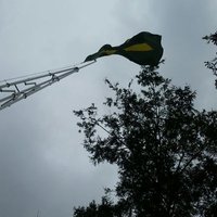 Soares π³οΈβπ π (@soa_resistir) 's Twitter Profile