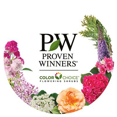 Wholesale flowering shrub nursery & developer of innovative shrub varieties for Proven Winners® ColorChoice®.