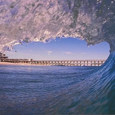 PVFloridaMan5's profile picture. Bar Owner, Dad, Surfer, Political Analyst, Crypto Enthusiast, Music Lover, Florida Man