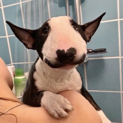 unfiltered777's profile picture. for my eyes only 🤫