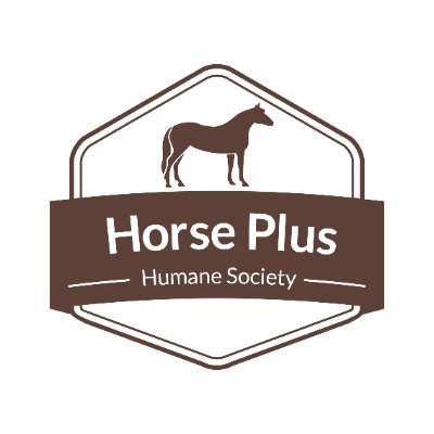 🐴We are the nation's largest open-door shelter for #horses.
❤️We #rescue horses from slaughter, neglect, abuse, and more!
#Adopt a horse APPLY TODAY!! ⬇️⬇️