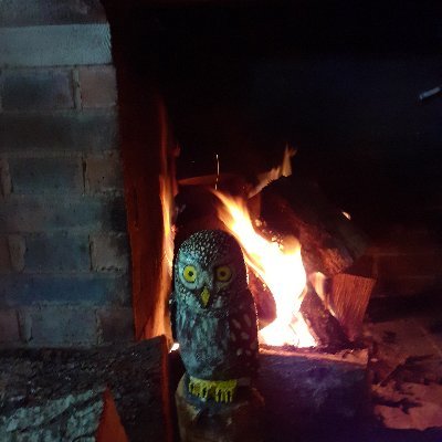 KOKIRRIN2's profile picture. 