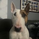 John Boyd - @_John_D_Boyd_ - Twitter