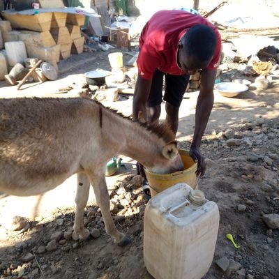 Respect36748034's profile picture. Kindess forever