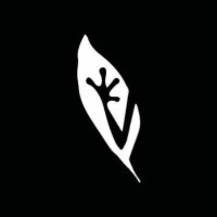 Picturatus (@picturatus2) 's Twitter Profile