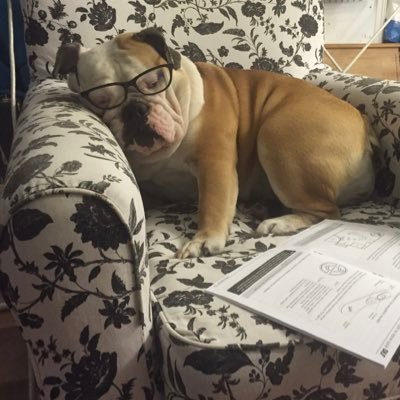 rymarczyk_magda's profile picture. „(…)Chociażbym chodził ciemną doliną, zła się nie ulęknę(…)”