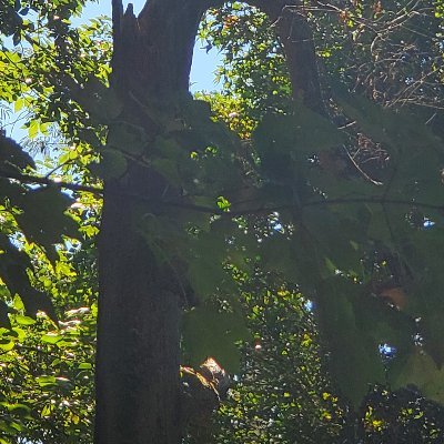 Fake67984003's profile picture. 