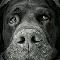 Christian Garfa (@christiangarfa) 's Twitter Profile