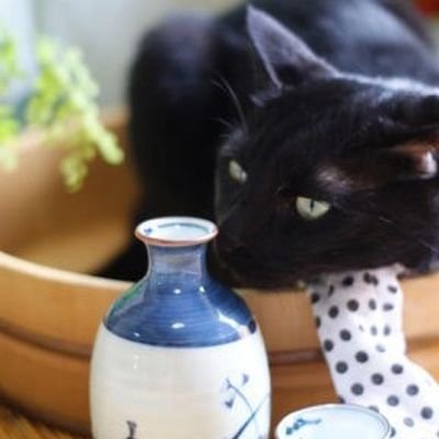 黒猫のサスケ
サバ白の小夏と小太郎
３にゃんと暮らしてます。
猫好き、カメラ好き、京都好き、オカルト、心霊、廃墟好き
おちゅーん大好きおちゅーなーです。